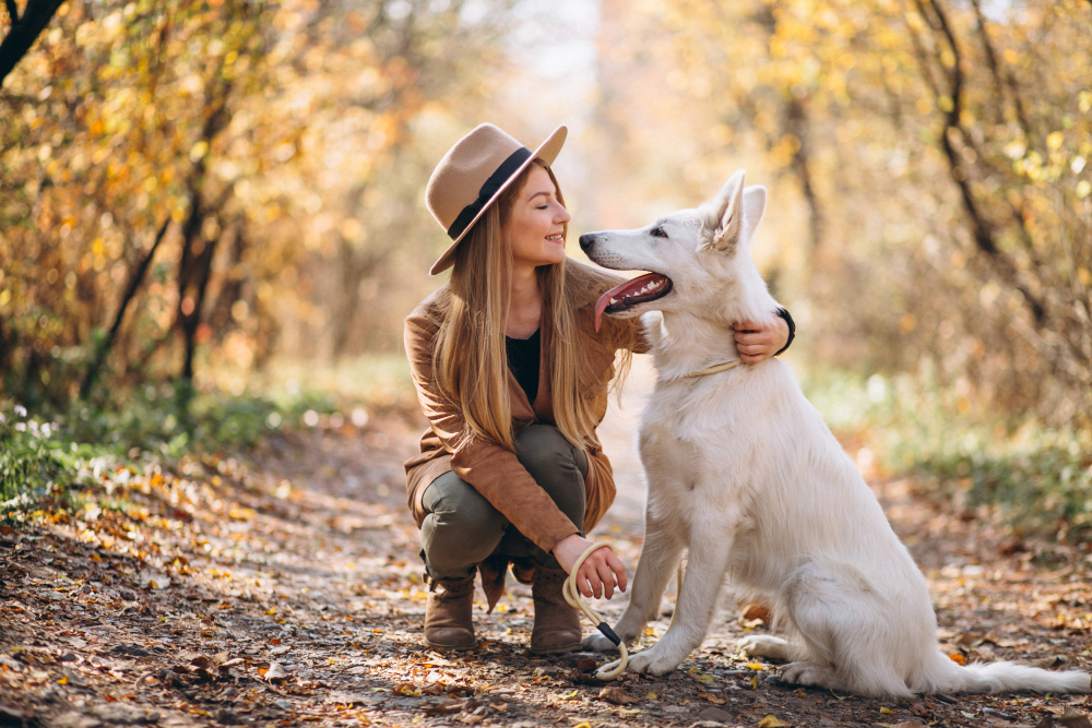 Quelles sont les races de chiens les plus possédés par les français ?