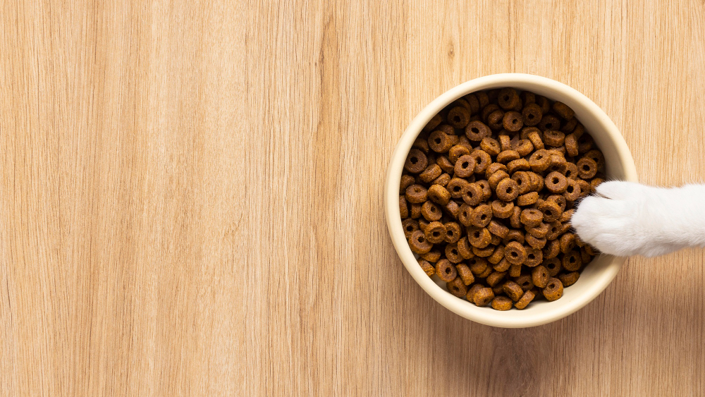 Quelles sont les meilleures marques de croquettes pour chien ?