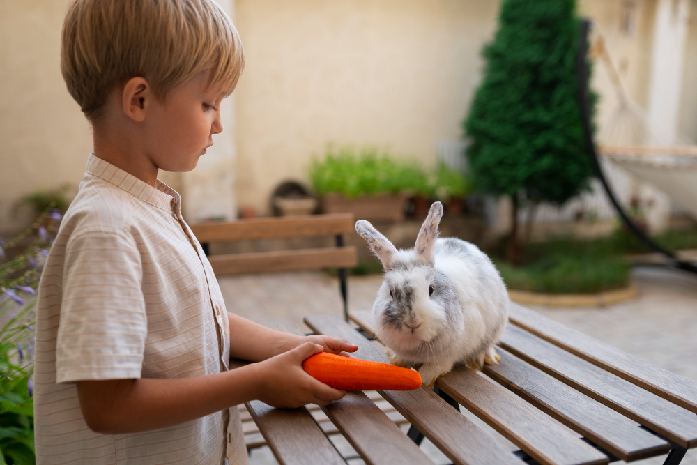 Adopter un lapin chez soi : tout ce qu'il faut savoir (caractère, alimentation, santé, prix)