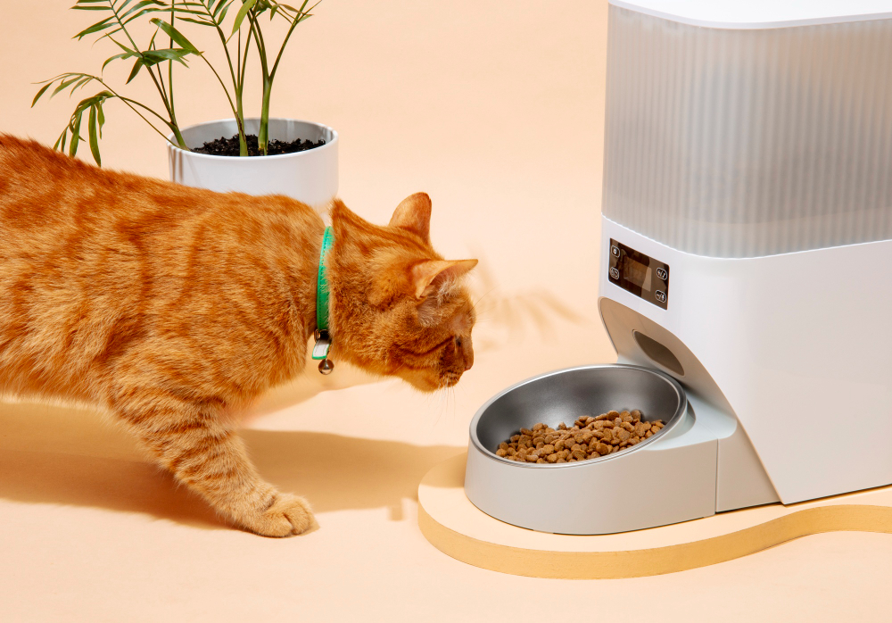 Distributeur de croquettes pour chat : comment le choisir ?