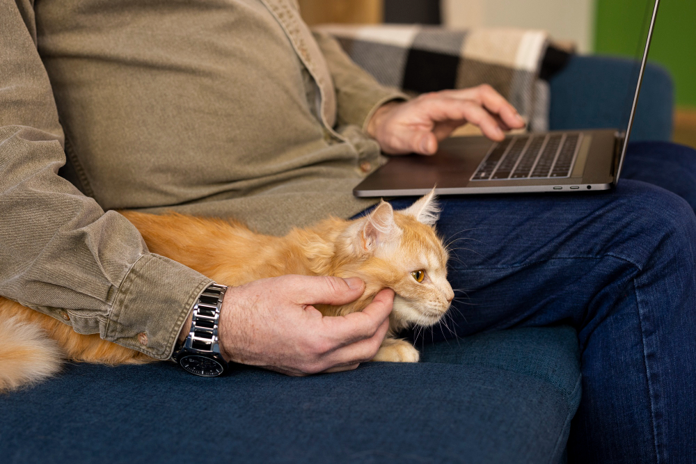Les meilleurs animaux de compagnie pour les personnes occupées