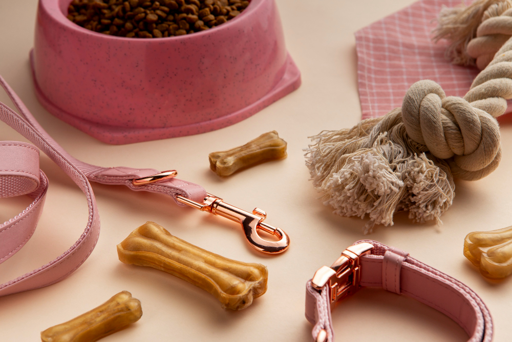 Les essentiels pour un nouveau chiot : Bien démarrer ensemble