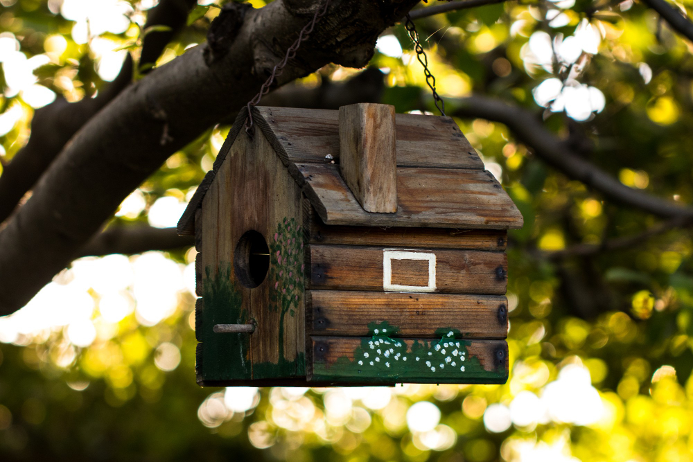 Comment construire et installer une cage à oiseaux dans son jardin ?