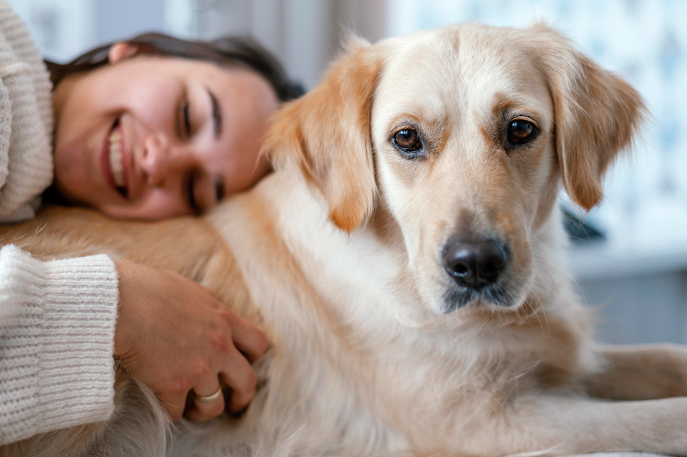 Comment choisir une mutuelle pour son chien ?