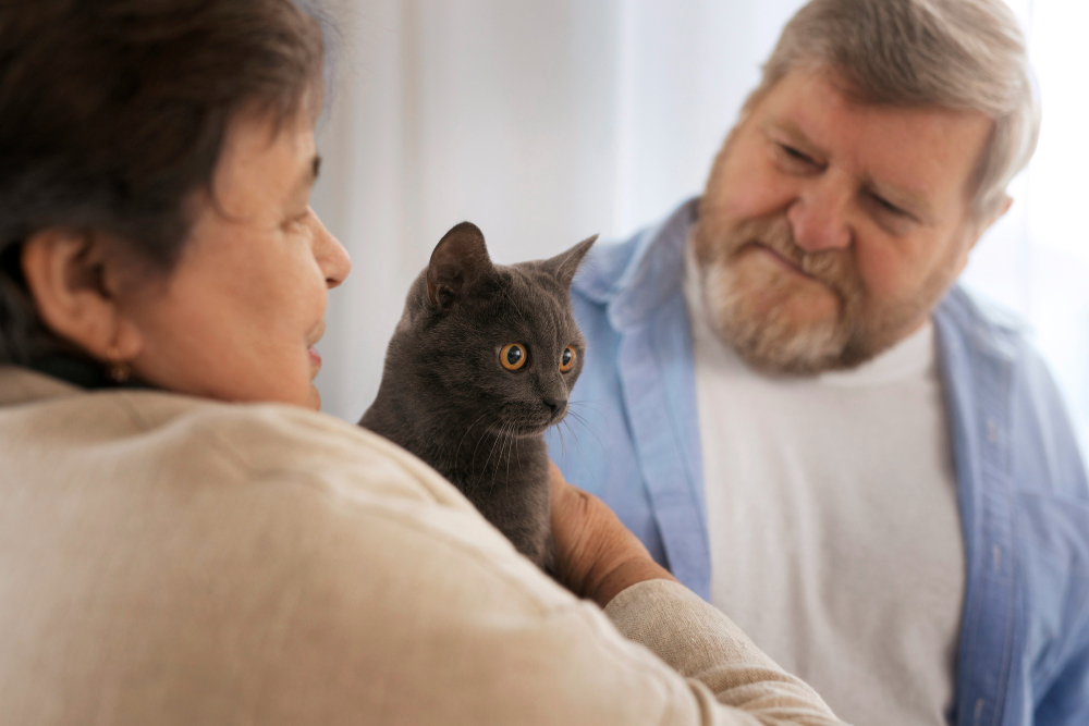 Comment choisir une mutuelle pour son chat ?