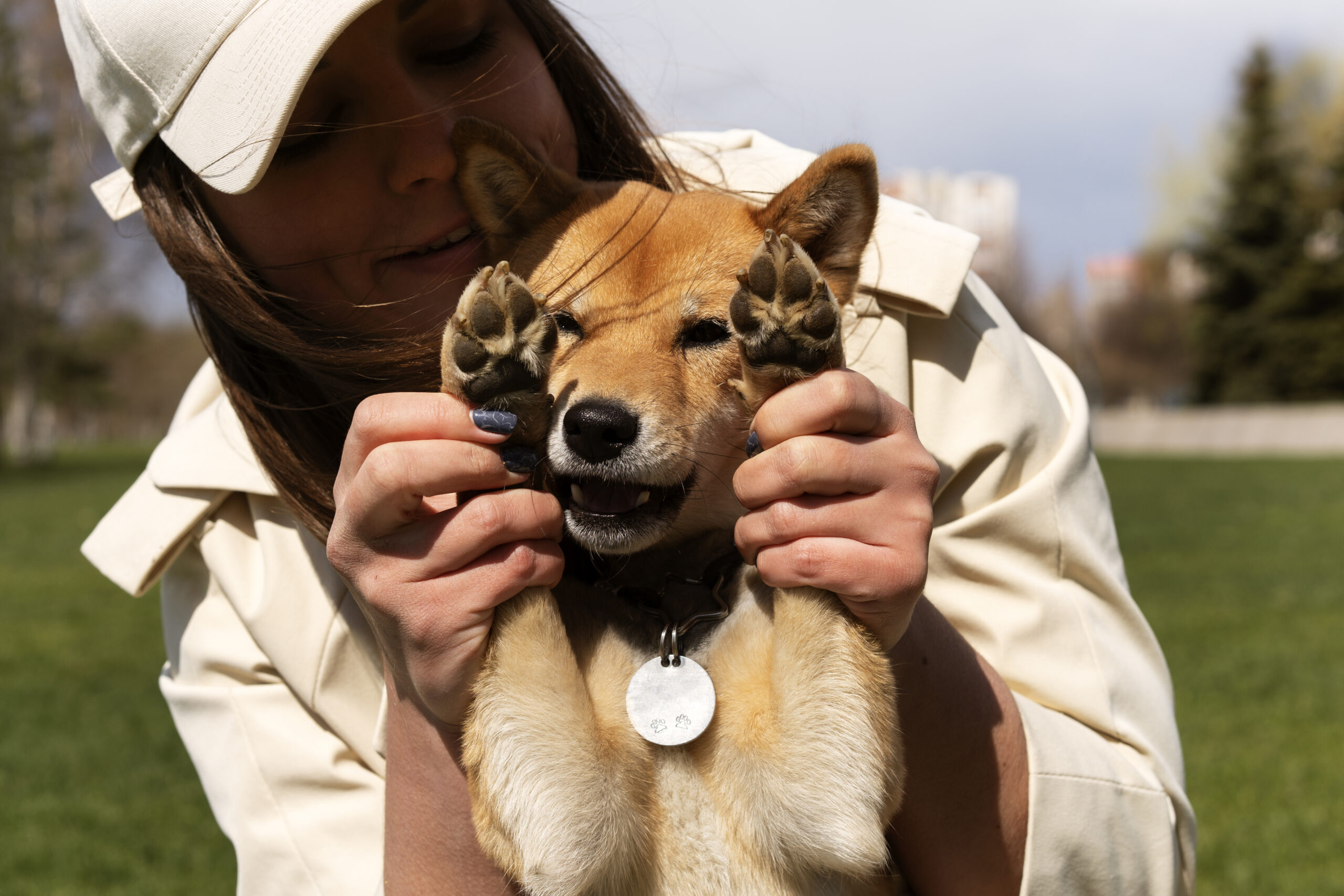 Quel est l'intérêt pour votre chien de porter une médaille d'identification ?