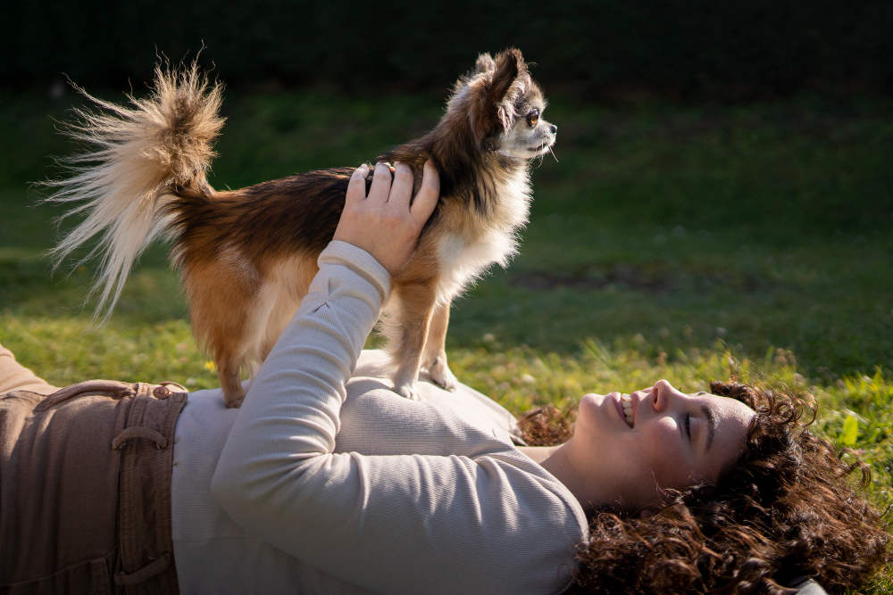 Quels sont les chiens qui vivent le plus longtemps ?