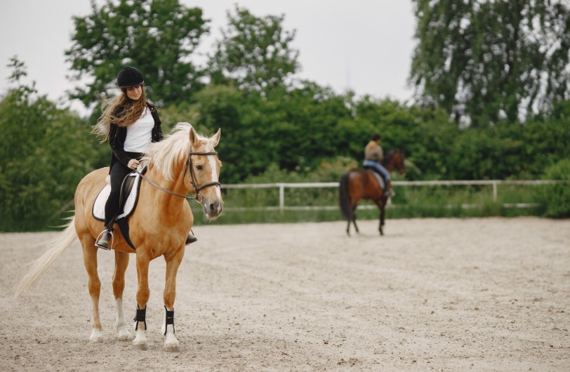 À quoi sert l’IFCE dans le monde de l’équitation ?