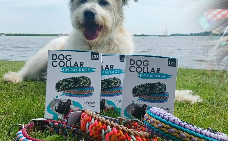 Laisse pour chiens paracorde comme solution fiable