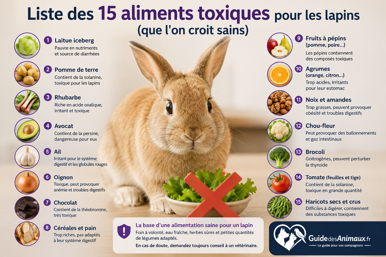 Liste des 15 aliments toxiques pour les lapins (que l'on croit sains)