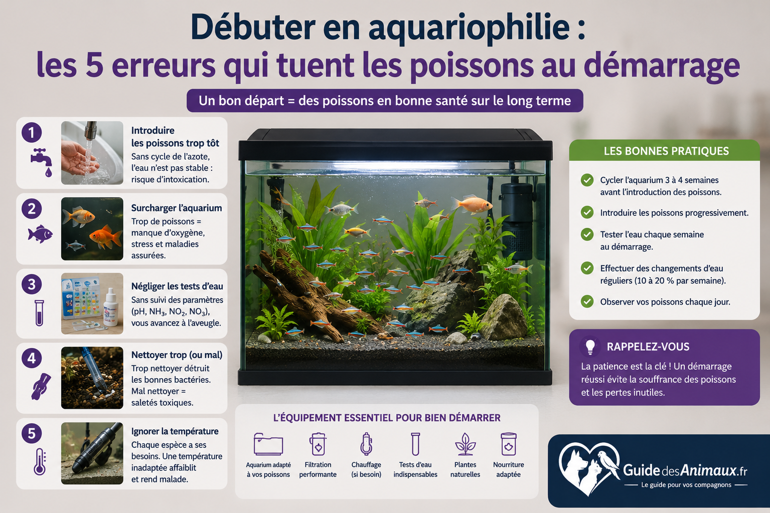 Débuter en aquariophilie : les 5 erreurs qui tuent les poissons au démarrage